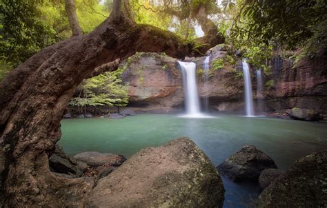 Wallpaper Forest Landscape River Tree Rocks Waterfall