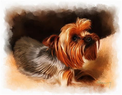 Cute Pet Dog Portrait Painting By Michael Greenaway