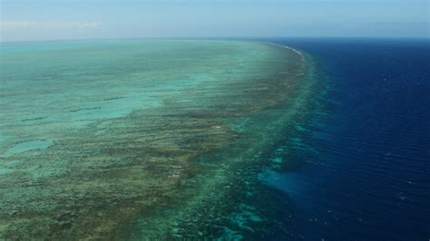 Data Doesnt Back Sunscreen Bans To Protect Coral Reefs