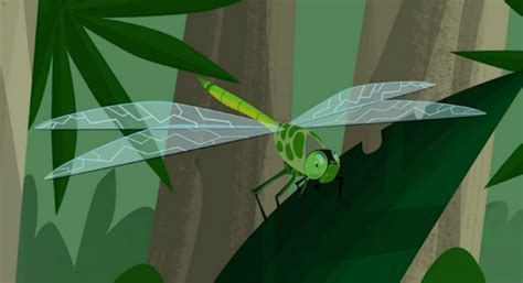 Wild Kratts Dragonfly Vengance Wild Kratts Fanon Wiki Fandom