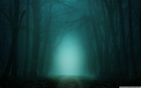 Download Road Through Forest Fog Night Ultrahd Wallpaper Wallpapers