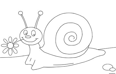 Coloriage escargot maternelle cp1 avec une fleur  JeColorie.com