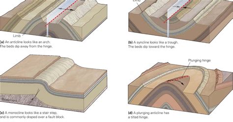 Folds And Foliations ~ Learning Geology