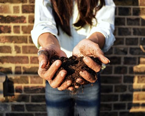 Roll Your Sleeves Up and Get Your Hands Dirty — Generation Avocado