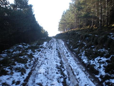 Forest Track Approaching Moor © Sarah Mcguire Geograph Britain And