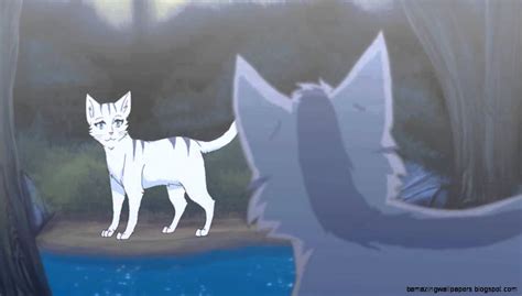 Warrior Cats Graystripe And Silverstream A Thousand Years Amazing