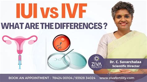 Iui Vs Ivf What Are The Differences Best Fertility Treatment Dr C Suvarchalaa Youtube
