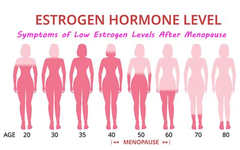 Symptoms Of Low Estrogen Levels After Menopause Balance My Hormones