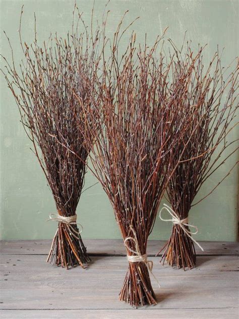 Birch Branches Rustic Home Decor Rustic Wedding Decor Witches Etsy