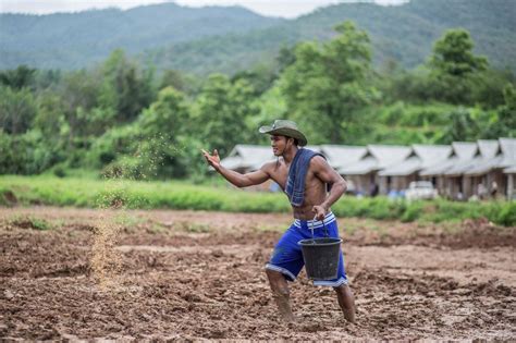 ทั้งนี้ บัวขาว บัญชาเมฆ เตรียมลงแข่งขันชกมวยระดับนานาชาติ กับคู่แข่งชาวต่างชาติในรายการ ออลสตาร์ไฟต์ เวิลด์ โซลด์เยอร์. บัวขาว บัญชาเมฆ กับวิถีชีวิตแบบชาวนา ลงทุนทำนาด้วยตัวเอง