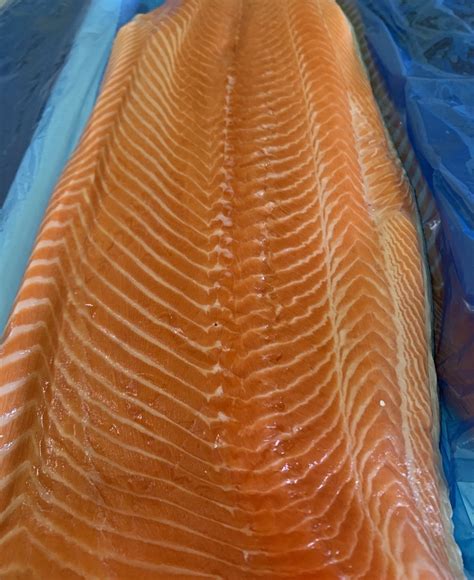 Atlantic Salmon Sashimi Grade 500g Clamms Seafood Online Shop