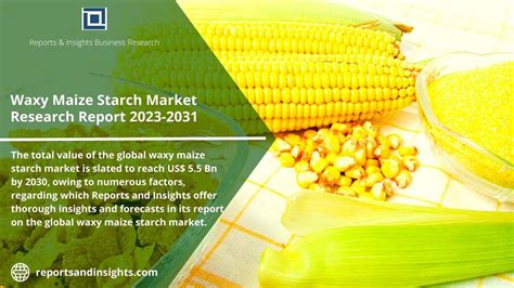 Waxy Maize Starch Unlocking The Potential Of The Global Market The