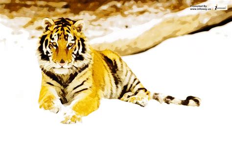 Snowy Afternoon Tiger Snowy Afternoon Tiger Flickr