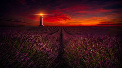 Sunset 4k Wallpaper Lavender Fields Lighthouse Orange Sky Flowers
