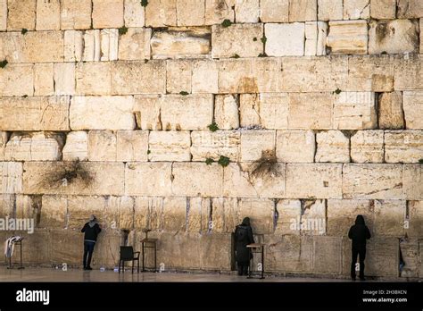 People Praying In The Western Wall In The Old City Jerusalem Israel