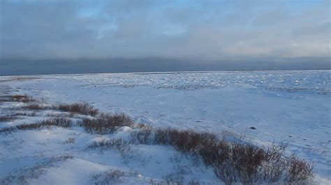 Hudson Bay Frozen Over Near Churchill Canada Youtube