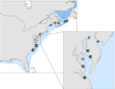 On The Left A Map Showing The Current Range Of Striped Bass Along The Download Scientific