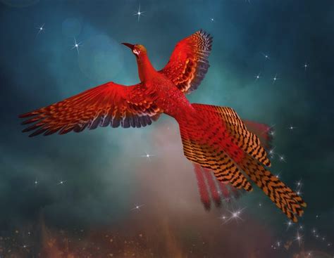 Phoenix Bird Mythology Origins Meaning And Symbolism Uniguide