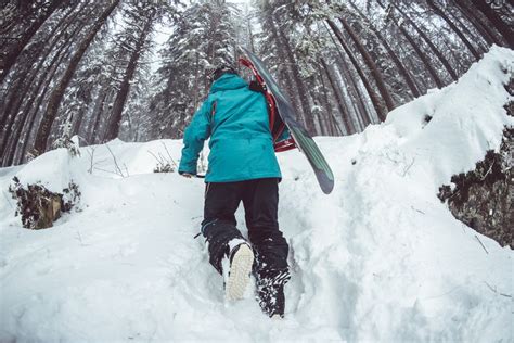 無料画像 木 人 雪 冬 天気 スノーシュー スノーボード シーズン 履物 凍結 ノルディックスキー 地質学的現象