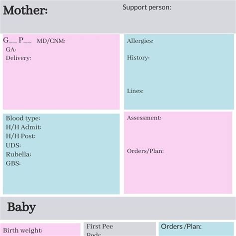 Mother Baby Report Sheet Etsy