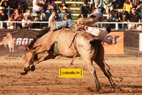 Jineteo De Caballos Con Pretal En El Rodeo De Zootecnia 2021 Promotora