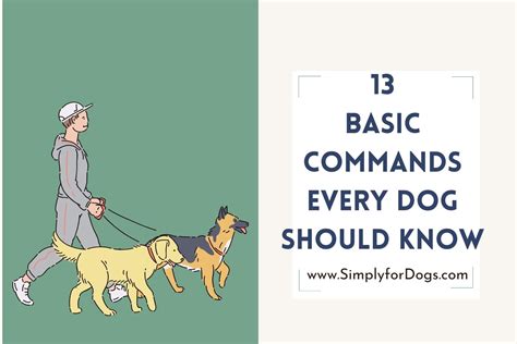Dog Training Commands And Activities Simply For Dogs