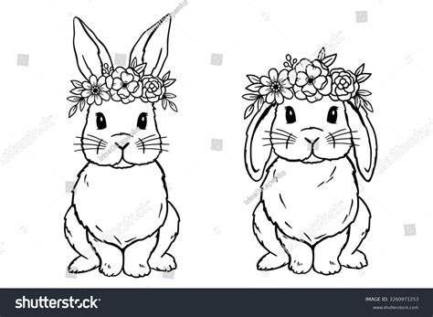 Cute Rabbit Line Art Lop Bunny Stock Vector Royalty Free 2260971253