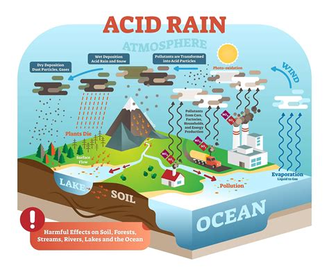 Acid rain is formed from the products of fossil fuel combustion dissolving in rainwater. What Is Acid Rain? - WorldAtlas