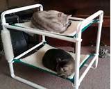 Images of Cat Beds Made Pvc Pipe