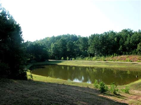 Mobilehome.net has 0 mobile homes for sale in clay county, al, including manufactured homes, modular homes and foreclosures. 27 Acres With 2 Acre Stocked Lake : Farm for Sale in Delta ...
