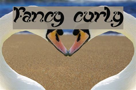 Fancy Curly Font FFonts Net
