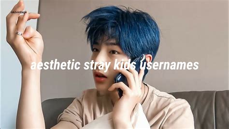 Aesthetic Straykids Usernames Youtube