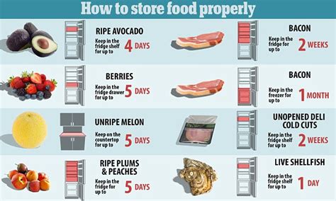 How To Store Food Properly So It Doesnt Go Off Daily Mail Online