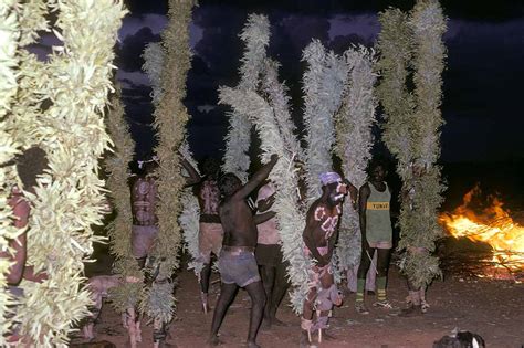 Witi Dance Aboriginal Initiation Ceremonies Central Australia