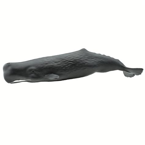 Sperm Whale Safari Ltd Animal Educational Toy Figure
