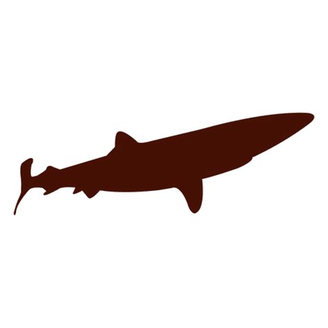 Large Shark Silhouette Transparent Png And Svg Vector File