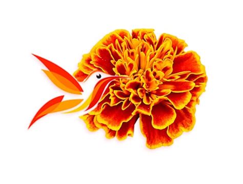 The Legend of the Cempasuchil Flower | Inside Mexico