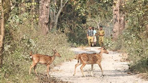 Raimona Becomes Assam S Sixth National Park