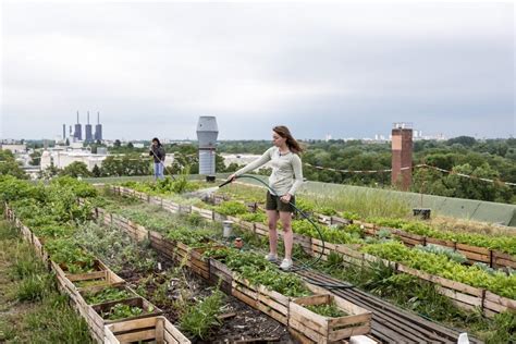 Reasons Why Urban Gardening Is A Good Idea Roof Top Gardens