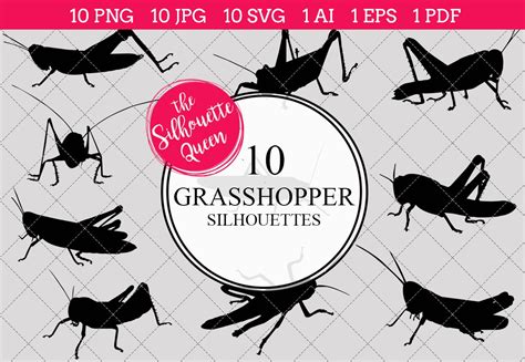 Grasshopper Insect Silhouette Vector Graphic Objects ~ Creative Market