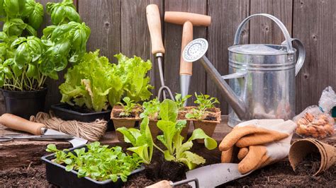 From home garden network, released april 14, 2020. 8 Home Gardening Tips & Ideas to Grow More & Reduce Waste