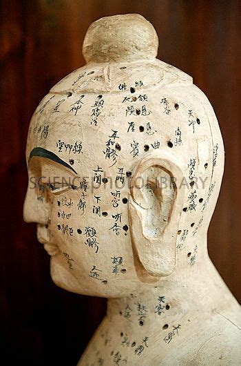 Ancient Chinese Medicine Chinese Acupuncture Model Stock Image C010