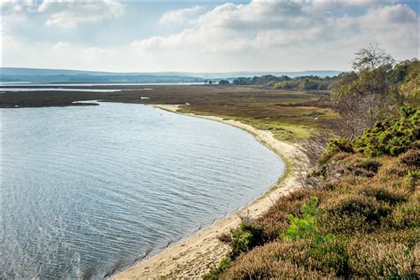 Arne Walk Arne Nature Reserve Coombe Heath Walk Dorset Walks