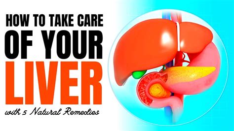 How To Take Care Of Your Liver With 5 Natural Remedies Youtube