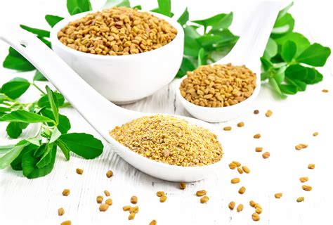 The effects come on in about 15 to 20 minutes, and the effects last about 24 hours. but he adds that there are several reasons why the abuse of poppy seeds in this manner has not yet become more widespread. Fenugreek: Health Benefits and How to Eat It - eMediHealth