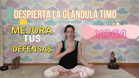 Glandula Timo E Espiritualidade