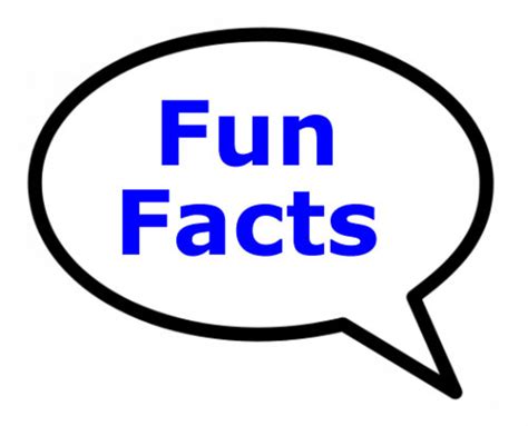 1000 Random Fun Facts You Might Find Interesting Interesting Videos