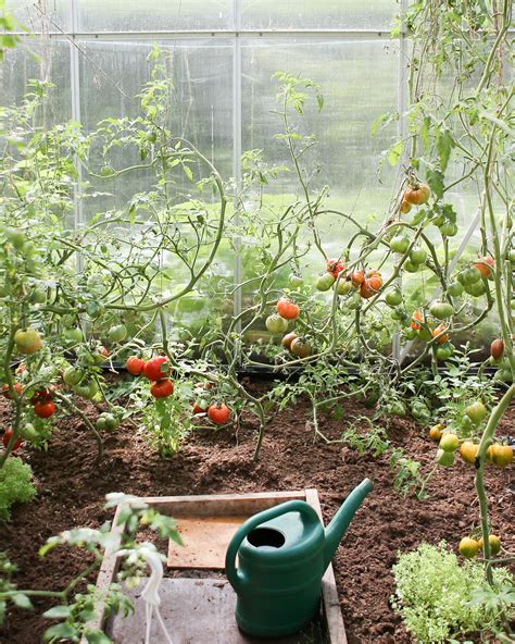 4 Proven Benefits Of Growing A Garden Mulhalls Greenhouse