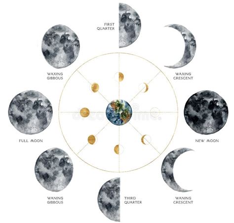 Moon Phases Watercolor Stock Photos Free And Royalty Free Stock Photos