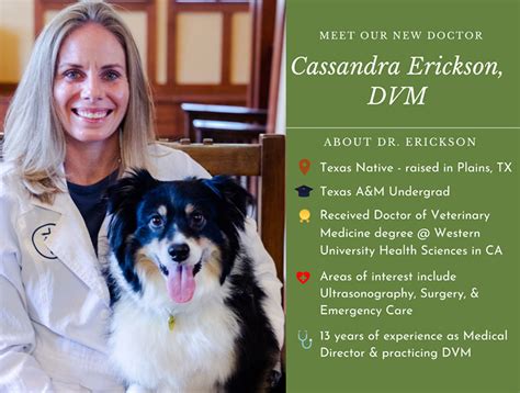 Dr Cassandra Erickson Colleyville Animal Clinic